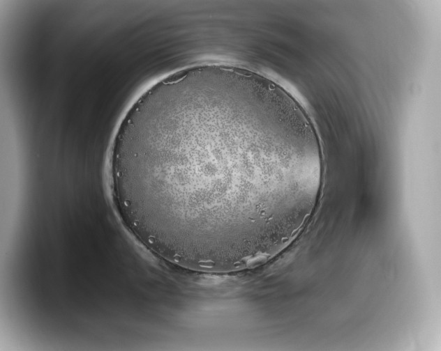 X0000099931056200805231226