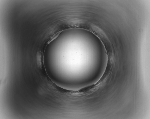 X0000099931060200805231225