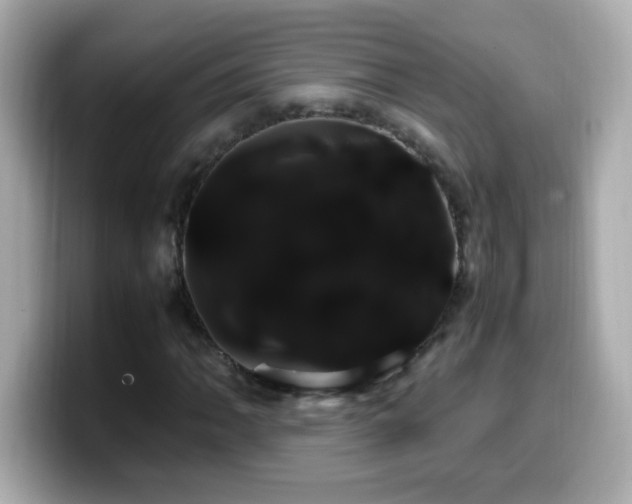 X0000099931062200805231225