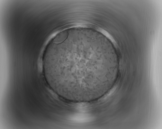 X0000099931067200805231225