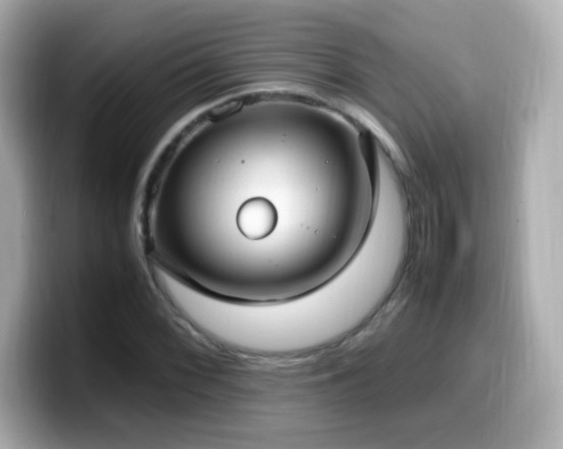 X0000099931068200805231225