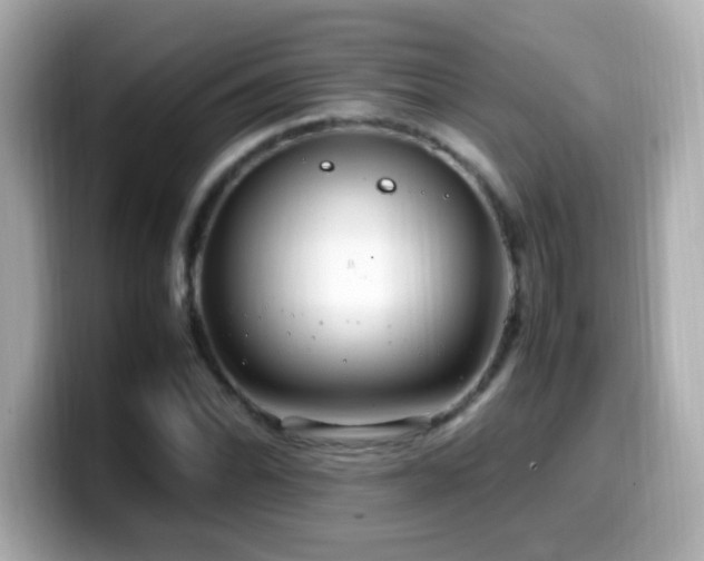 X0000099931070200805231225