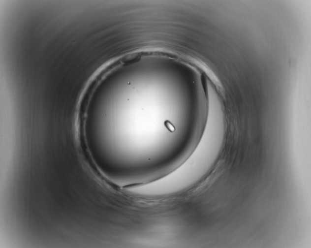 X0000099931076200805231225