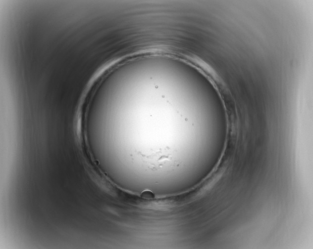 X0000099931078200805231225