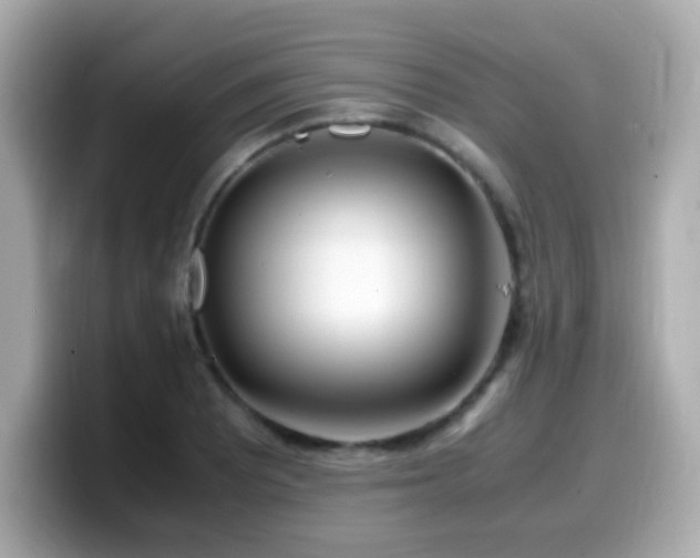 X0000099931081200805231225
