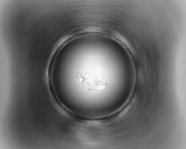 X0000099931082200805231225