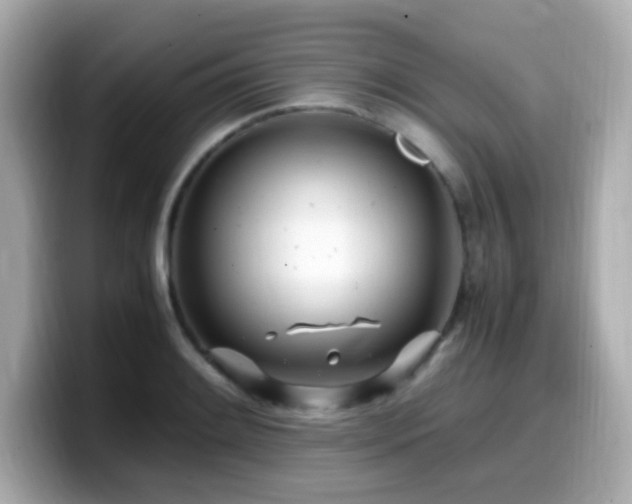 X0000099931084200805231225
