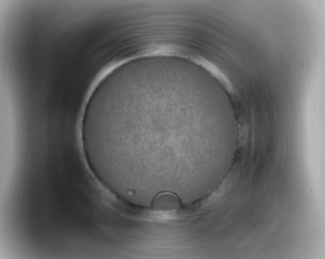 X0000099931086200805231225
