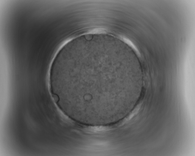 X0000099931087200805231225