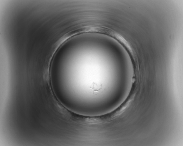 X0000099931089200805231225
