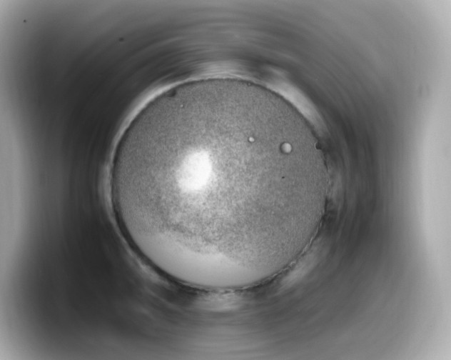 X0000099931094200805231225