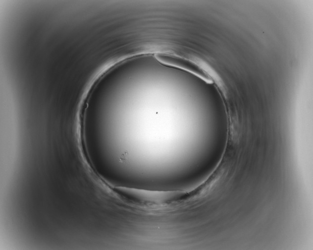 X0000099931096200805231225