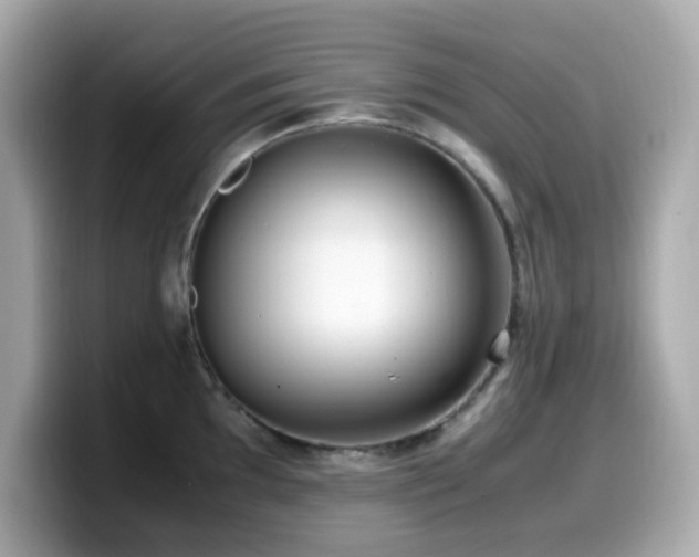 X0000099931097200805231225