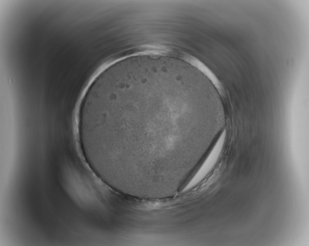 X0000099931099200805231225