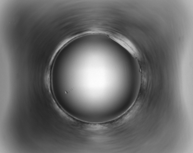 X0000099931100200805231225