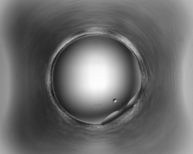 X0000099931101200805231225
