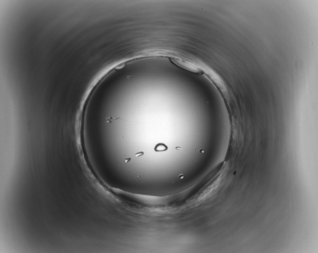 X0000099931102200805231225