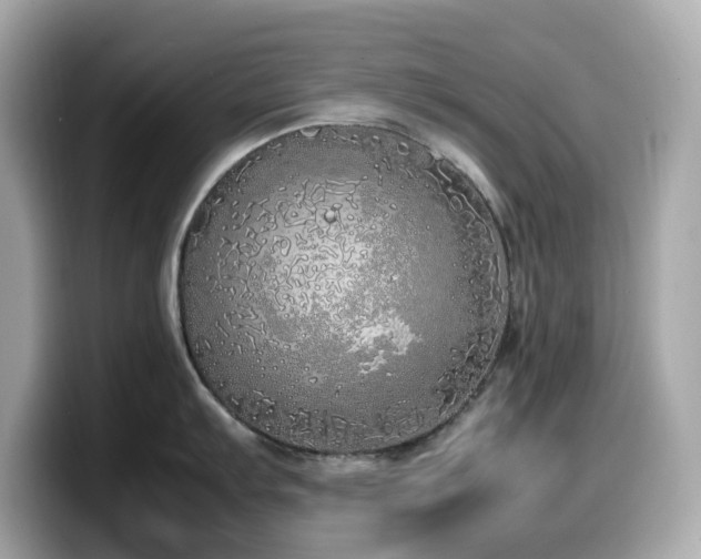 X0000099931103200805231225