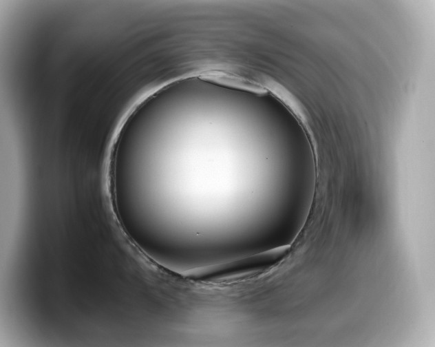 X0000099931104200805231225
