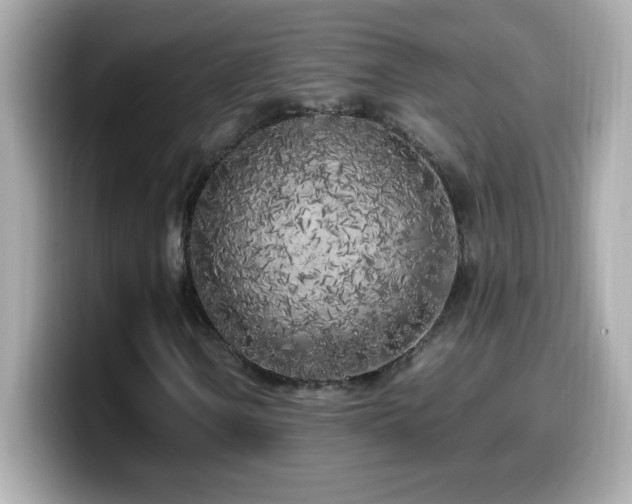 X0000099931106200805231224