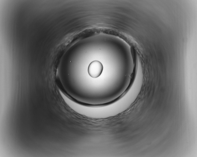 X0000099931110200805231224