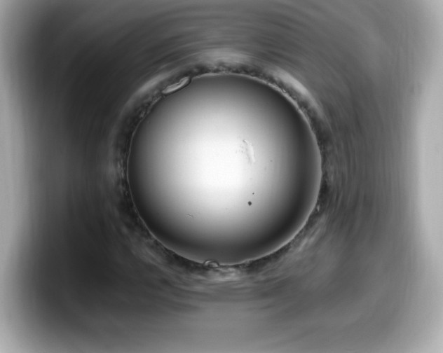 X0000099931112200805231224