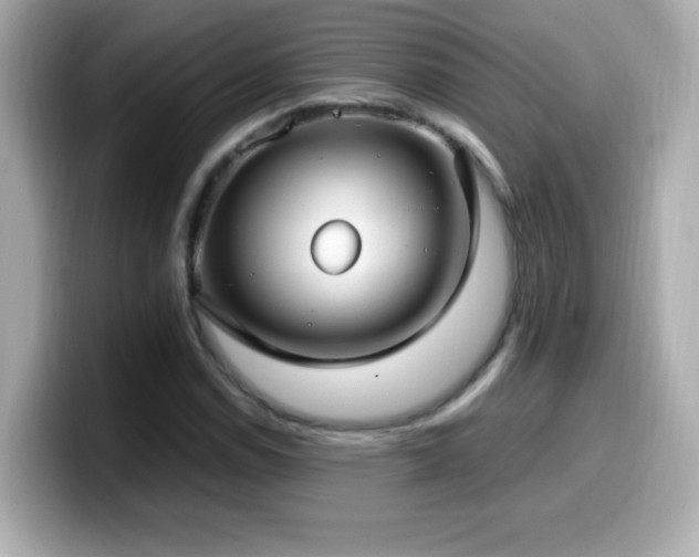 X0000099931114200805231224