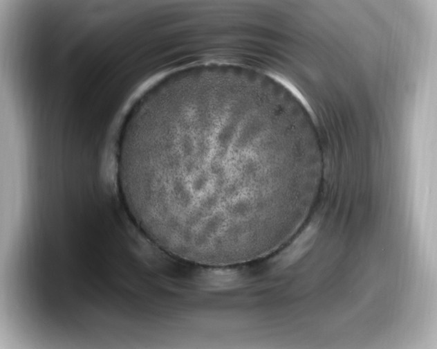 X0000099931115200805231224