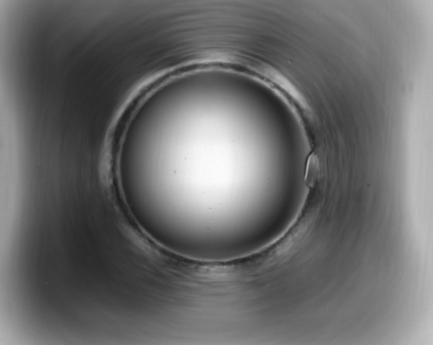 X0000099931116200805231224