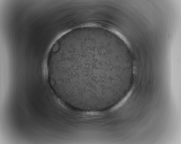 X0000099931117200805231224
