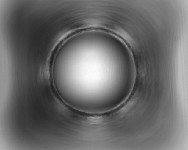 X0000099931118200805231224