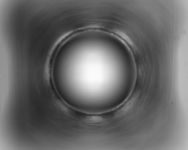 X0000099931119200805231224