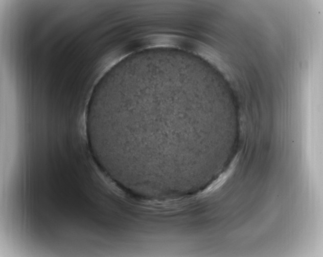 X0000099931121200805231224