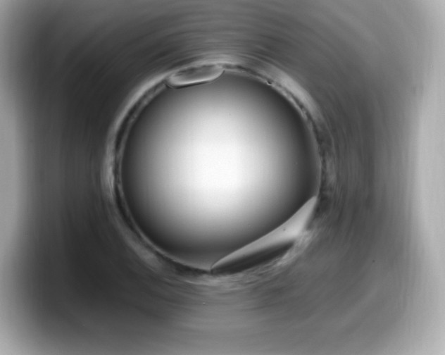 X0000099931124200805231224