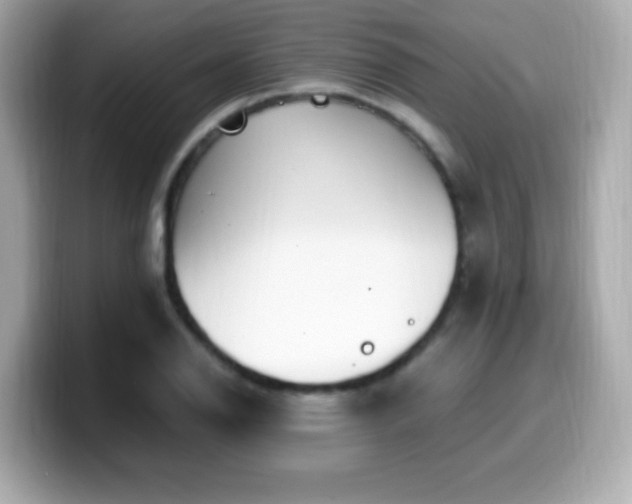 X0000099931126200805231224