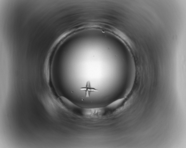 X0000099931127200805231224