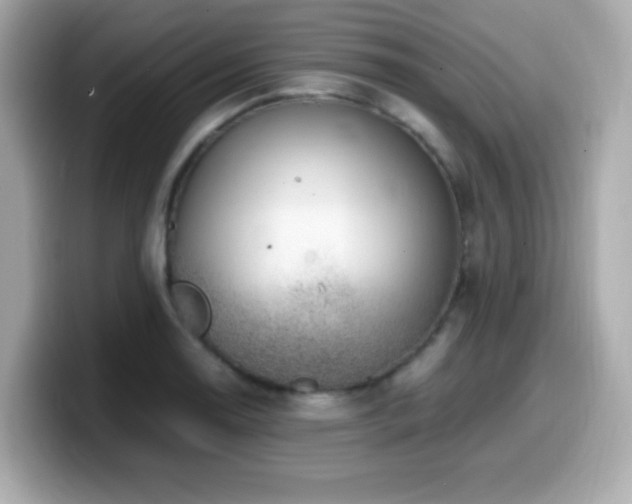 X0000099931130200805231224