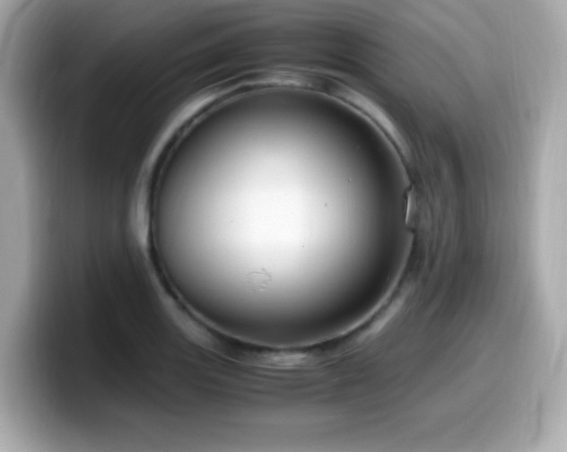 X0000099931131200805231225