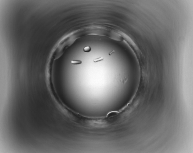 X0000099931133200805231225