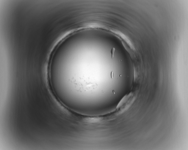 X0000099931134200805231225