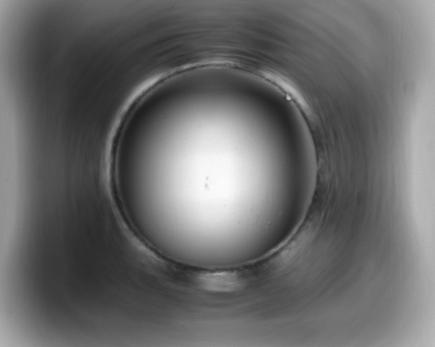 X0000099931135200805231225