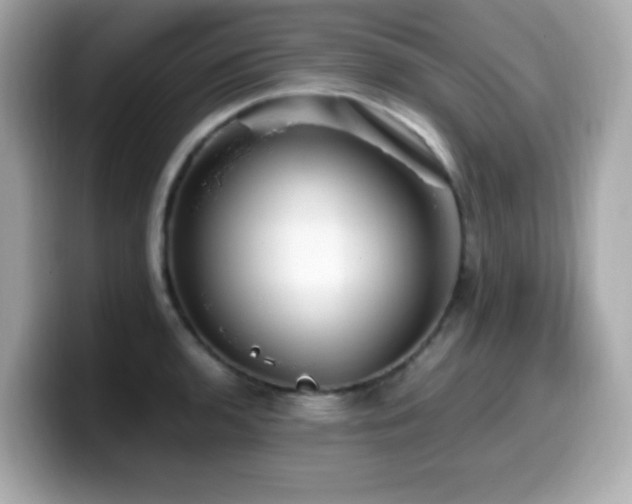 X0000099931136200805231225