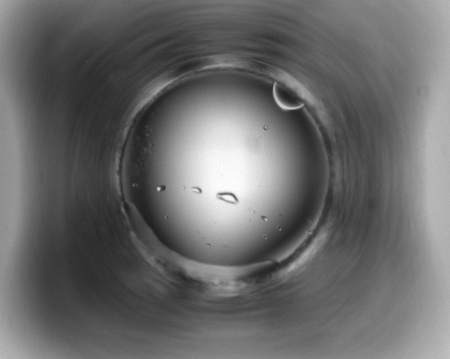 X0000099931137200805231225