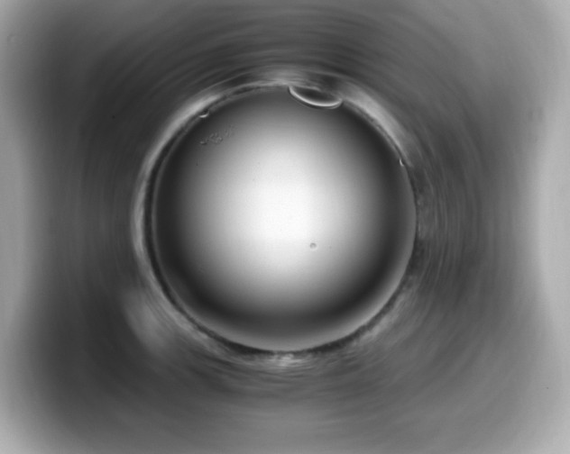 X0000099931139200805231225