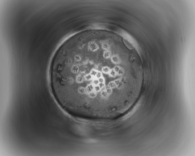 X0000099931141200805231225