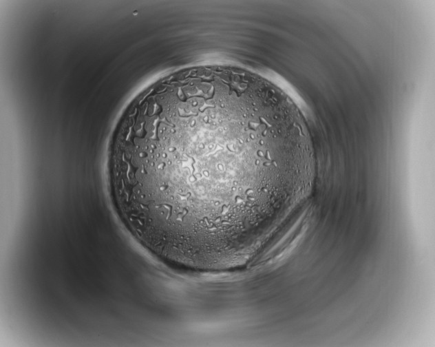 X0000099931142200805231225