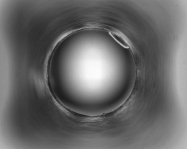 X0000099931143200805231225