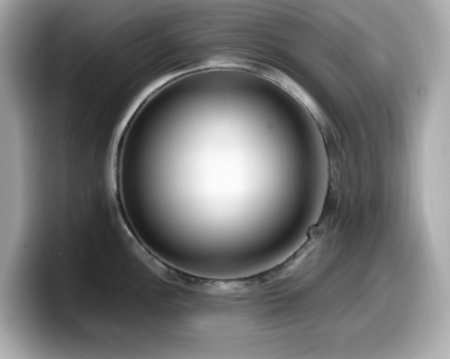 X0000099931148200805231225