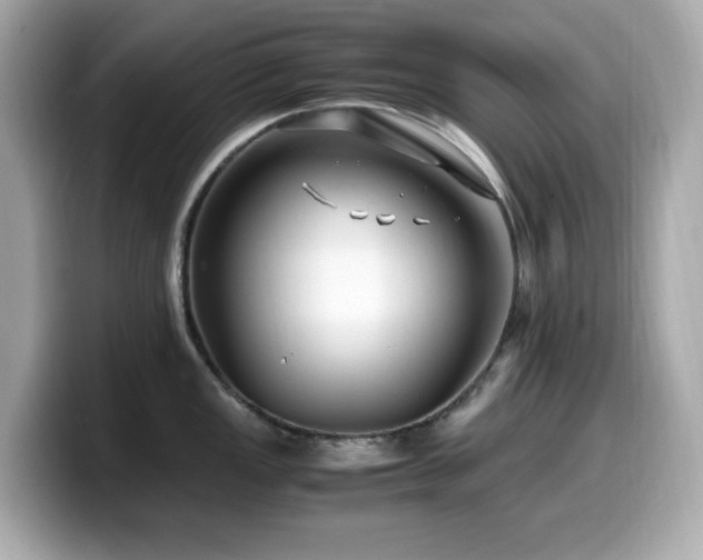 X0000099931149200805231225