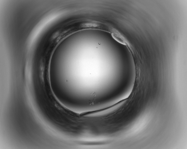 X0000099931151200805231225